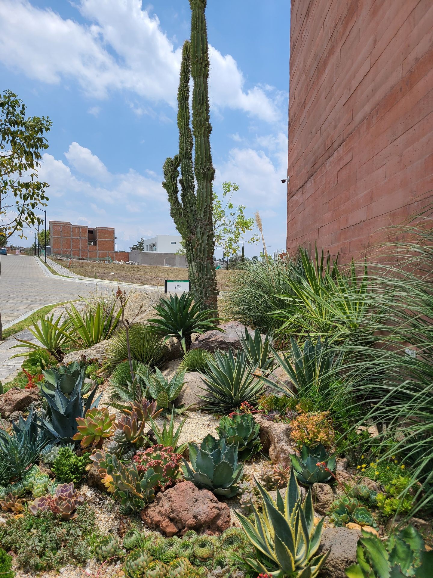 Paisajismo, Jardín desertico, Jardineria, Xerojardineria, Lomas de Angelopolis Puebla 