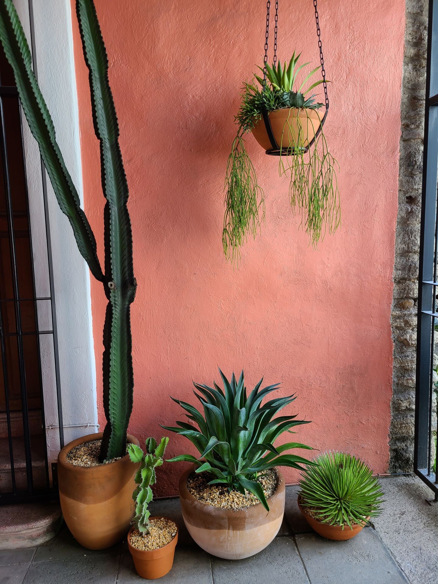 Venta e Instalación de Plantas con Macetas